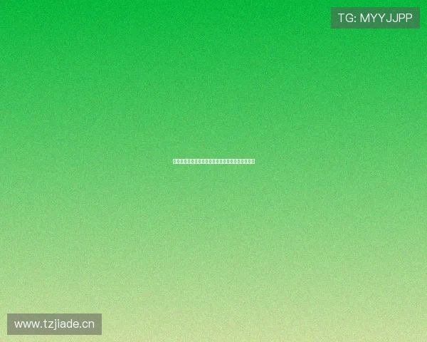 袋鼠下载安装全攻略一步步教你轻松完成安装与设置